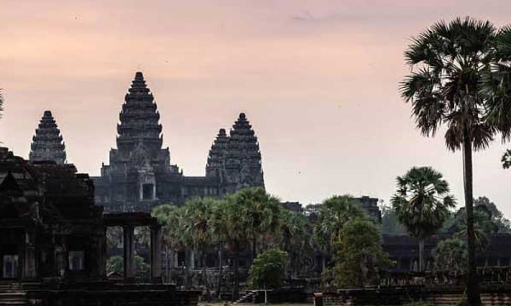 Sunset view of Angkor Wat temple towers and palm trees in Siem Reap, Cambodia.